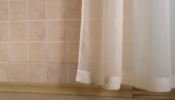 Biohazard Mold Removal in Kincheloe, MI