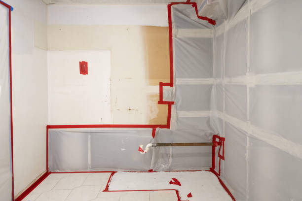 Best Real Estate Mold Inspection  in Kincheloe, MI