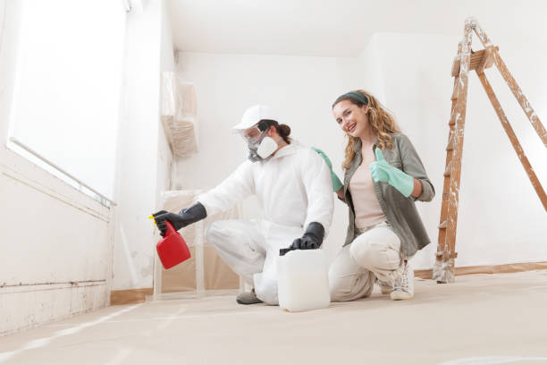 Best Real Estate Mold Inspection  in Kincheloe, MI